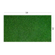 40MM Artificial Grass Synthetic 10SQM Pegs Turf Plastic Plant Fake Lawn Flooring