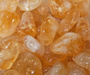 Crystal Elixir Water Bottles - Awesome Water